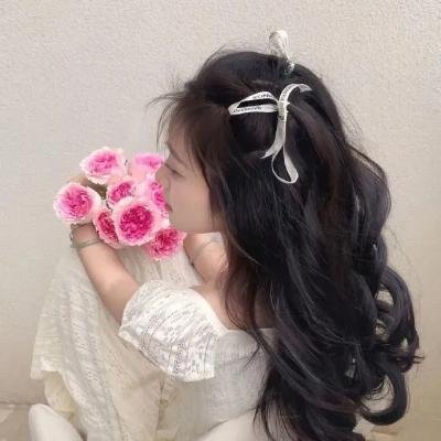 纽约鼠患